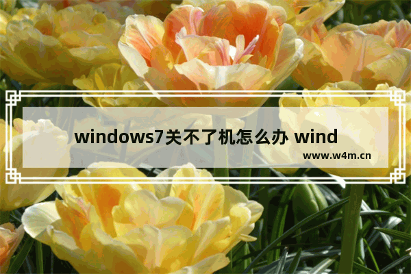 windows7关不了机怎么办 windows7电脑关机慢的原因和解决方法