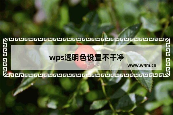 wps透明色设置不干净