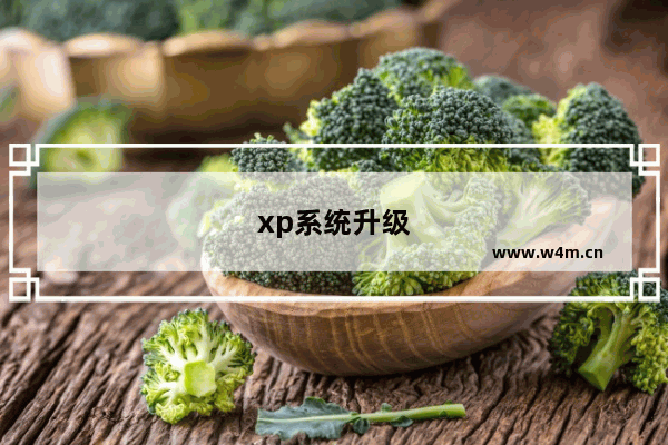 xp系统升级