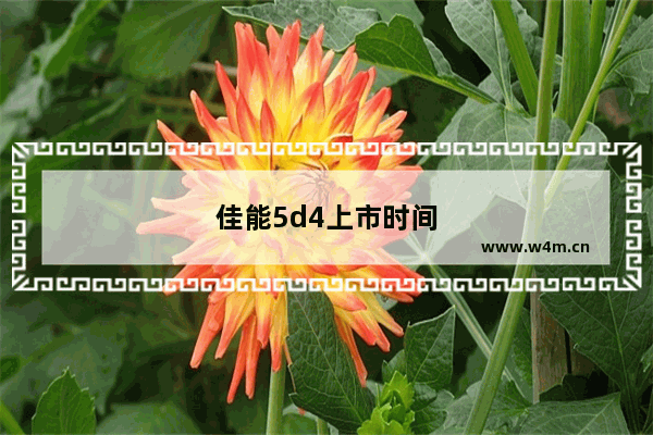 佳能5d4上市时间