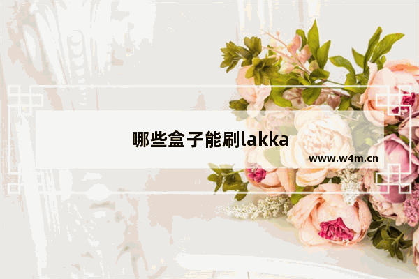 哪些盒子能刷lakka