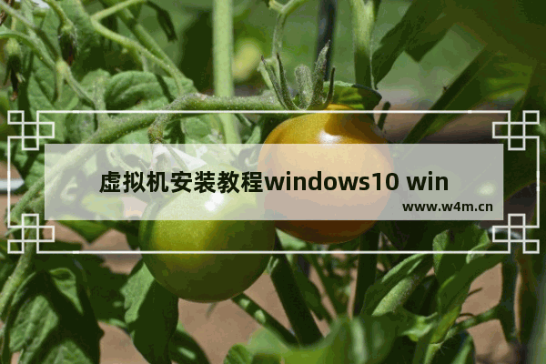 虚拟机安装教程windows10 windows10安装虚拟机详细步骤