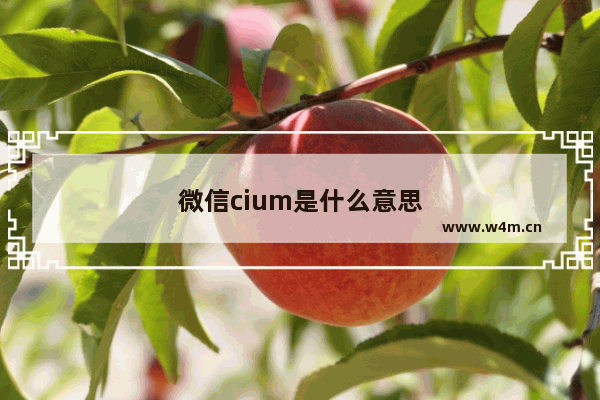 微信cium是什么意思