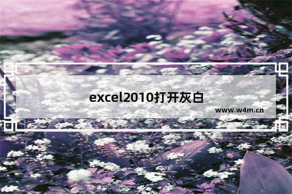 excel2010打开灰白