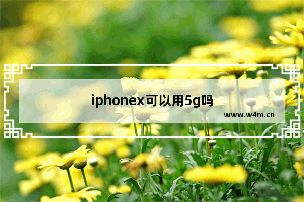 iphonex可以用5g吗