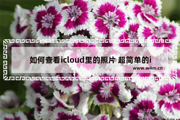 如何查看icloud里的照片 超简单的iCloud照片恢复方法