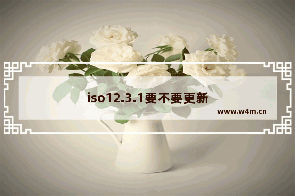 iso12.3.1要不要更新