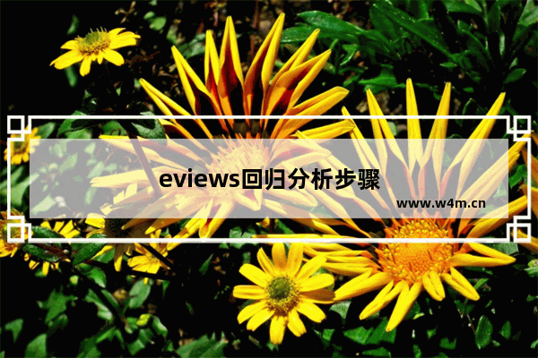 eviews回归分析步骤