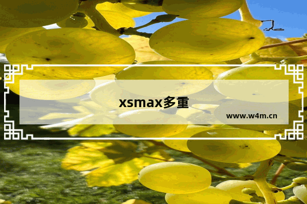 xsmax多重