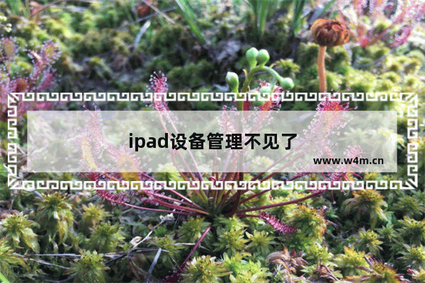 ipad设备管理不见了