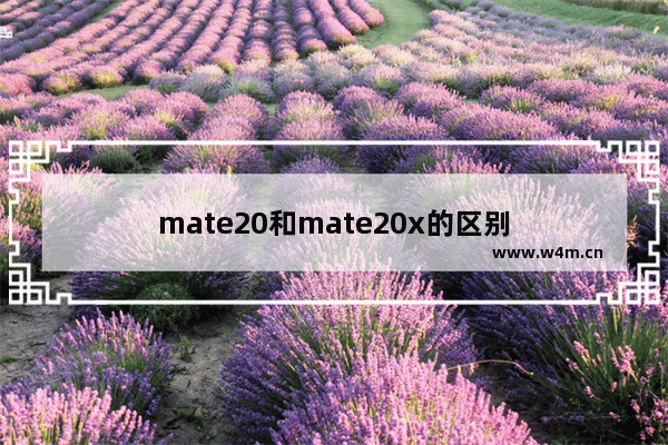 mate20和mate20x的区别