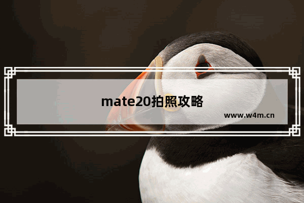 mate20拍照攻略