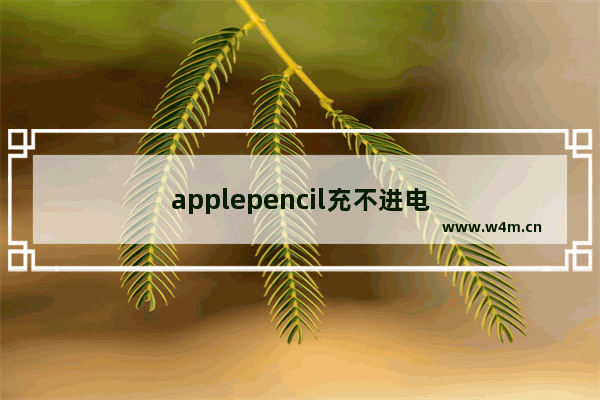 applepencil充不进电