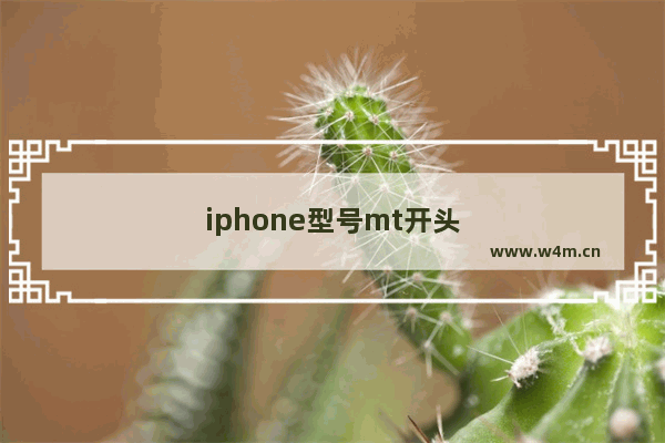 iphone型号mt开头