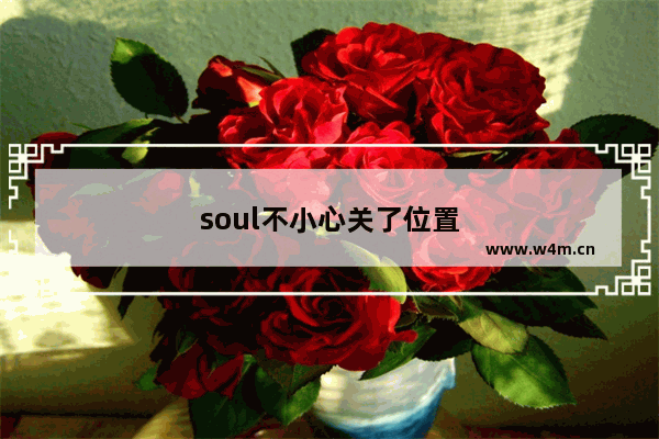 soul不小心关了位置