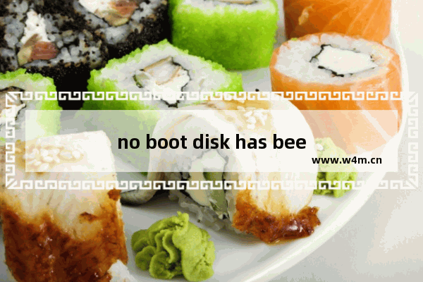 no boot disk has been detected or the disk has failed