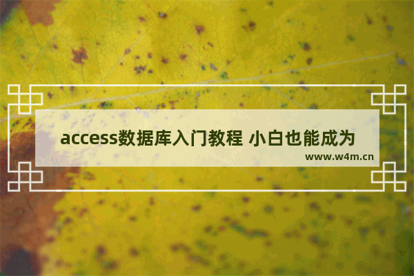 access数据库入门教程 小白也能成为数据库使用高手