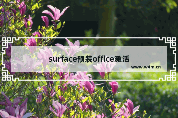 surface预装office激活