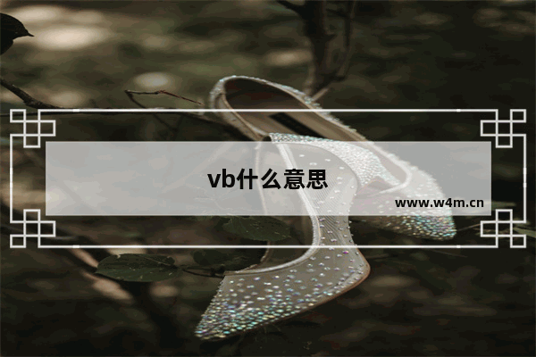 vb什么意思