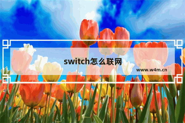 switch怎么联网