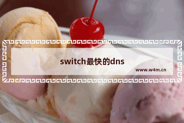 switch最快的dns