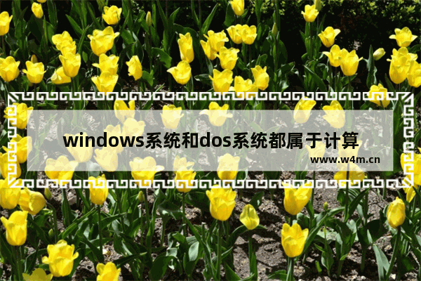 windows系统和dos系统都属于计算机中安装的