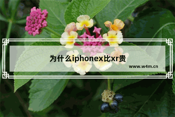 为什么iphonex比xr贵