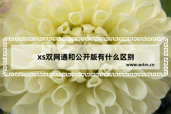 xs双网通和公开版有什么区别