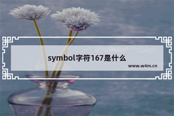 symbol字符167是什么