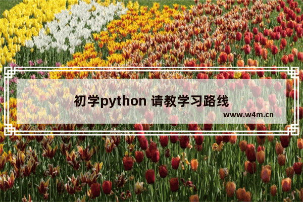 初学python 请教学习路线