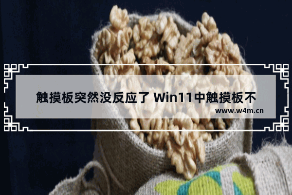 触摸板突然没反应了 Win11中触摸板不工作修复方法