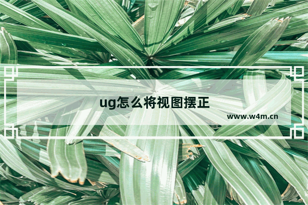 ug怎么将视图摆正