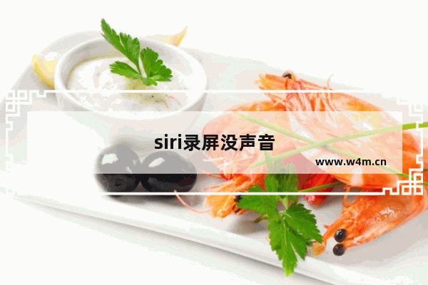 siri录屏没声音