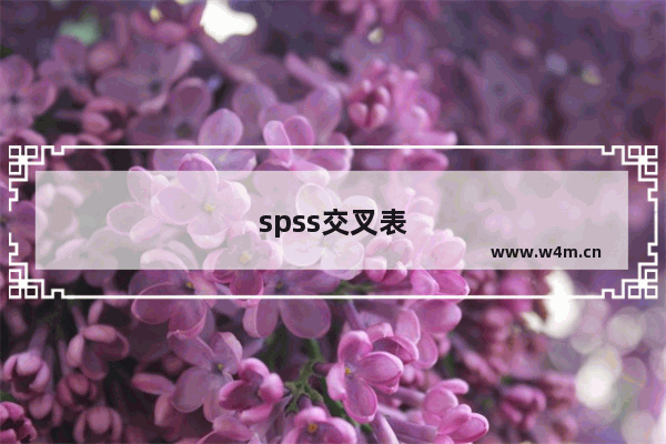 spss交叉表