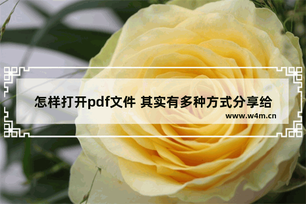 怎样打开pdf文件 其实有多种方式分享给你