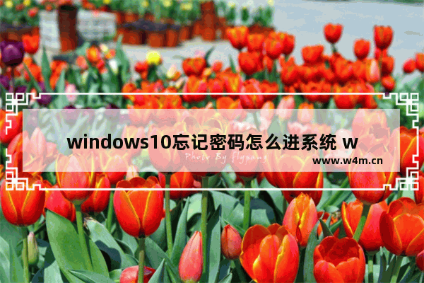 windows10忘记密码怎么进系统 windows10电脑忘记开机密码最简单方法