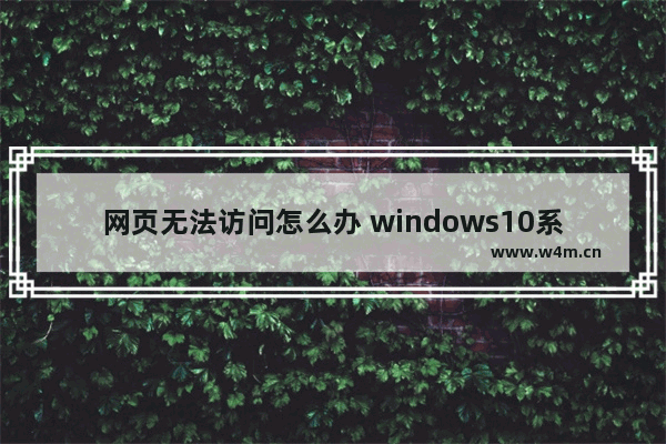 网页无法访问怎么办 windows10系统电脑无法联网的解决方法