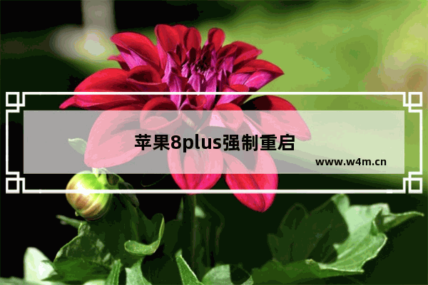 苹果8plus强制重启