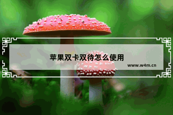 苹果双卡双待怎么使用