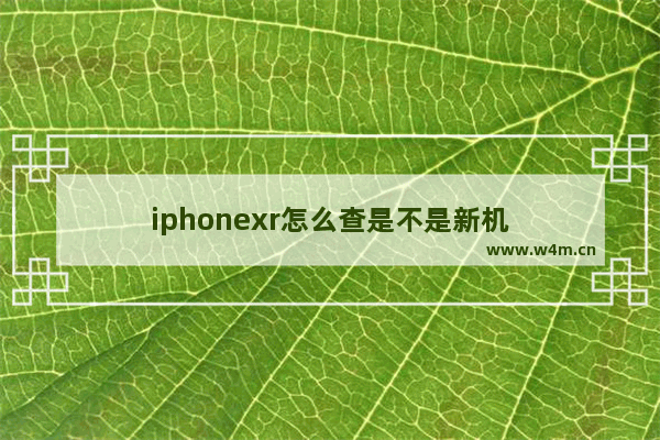 iphonexr怎么查是不是新机