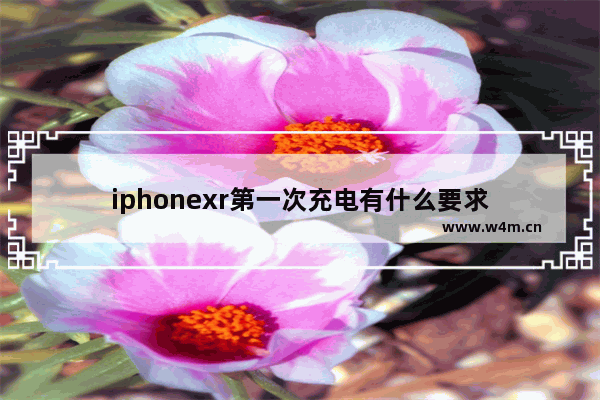 iphonexr第一次充电有什么要求