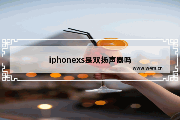 iphonexs是双扬声器吗