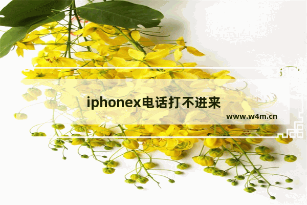 iphonex电话打不进来