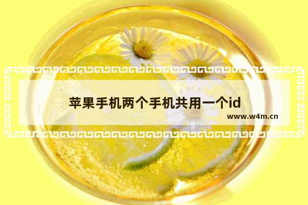 苹果手机两个手机共用一个id