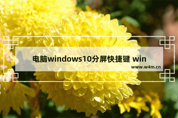 电脑windows10分屏快捷键 windows10系统开启分屏功能的设置方法