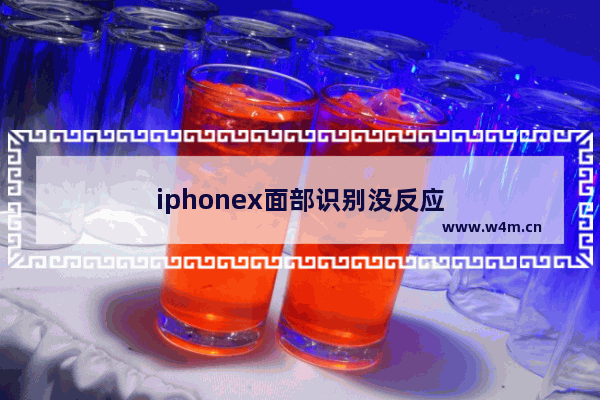 iphonex面部识别没反应