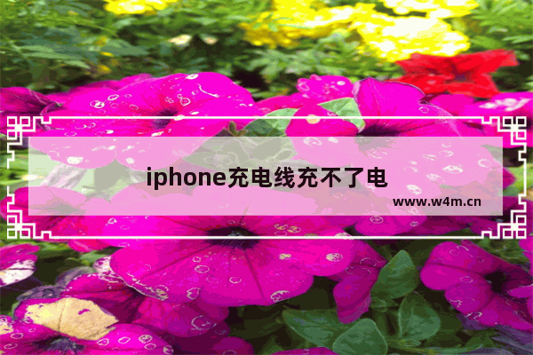 iphone充电线充不了电