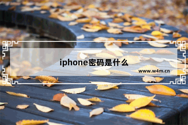 iphone密码是什么