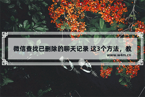 微信查找已删除的聊天记录 这3个方法，教你快速找回