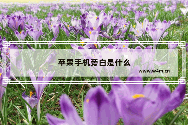 苹果手机旁白是什么